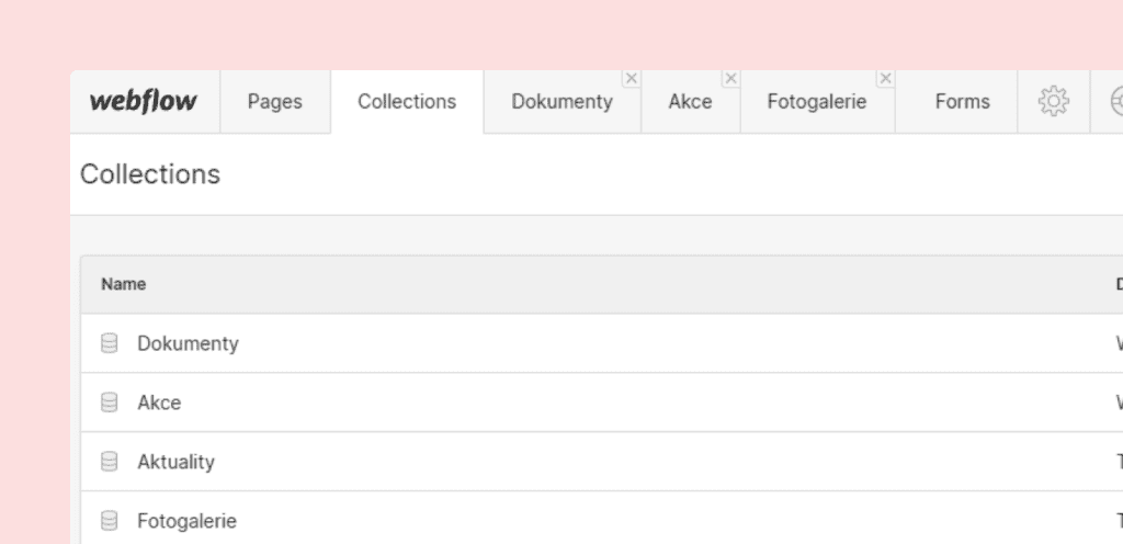 Preview of Webflow editor inside the project.