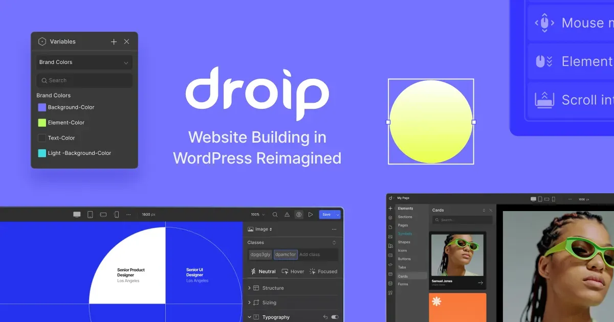 Flexbility as the key factor of Droip Page Builder for Wordpress