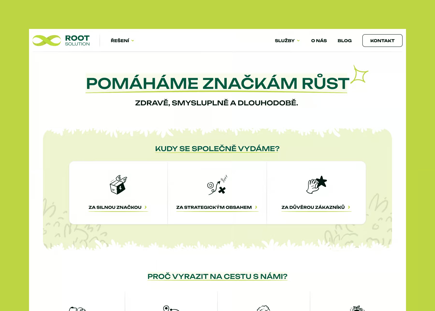 ROOT Solution, website by Petr Bilek
